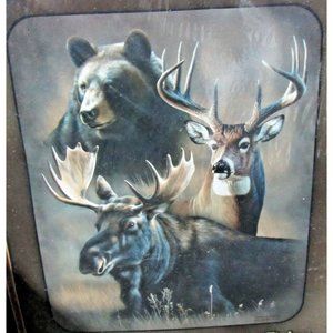 "DYNAMIC TRIO" Rebecca Latham and Cynthie Fisher Luxury Plush Blanket Queen
